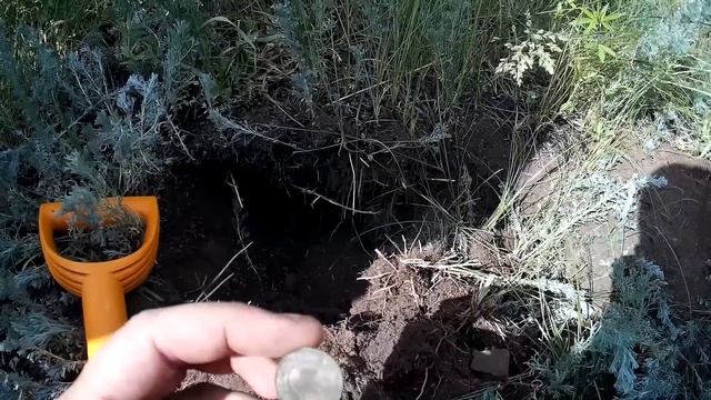 #Какой металлоискатель лучше или как повезёт...