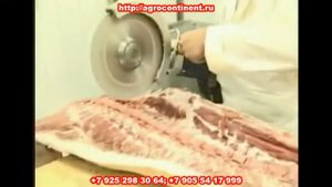 Пила для разделки полутуш, дисковая у Агроконтинент, Москва