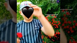 новая цыганская песня 2022 года ⚜🐊