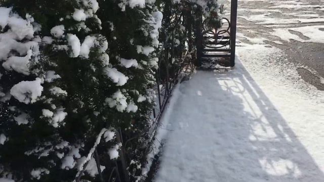 Киев Украина Осокорки 8.03.2022. Утро. смотреть онлайн