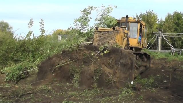 Пни  на участке возле дома Надежды Васильевны.  Мои подарки! смотреть онлайн