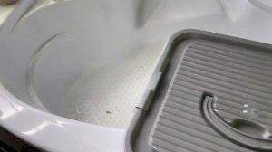 # 145 Почему орхидеи любят мох. Свойства | особенности | хранение | применение #УходЗаОрхидеями