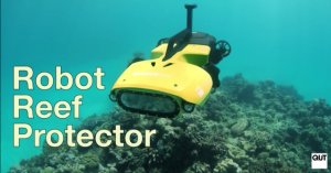 Автономный подводный дрон RangerBot