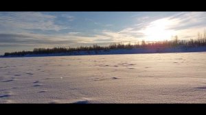 Рыбалка в Нижневартовске 01 декабря 2022г.