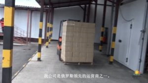 Заготовка и переработка дикорастущих лесных ягод | Производственная компания «ЗАГОТПРОМ».