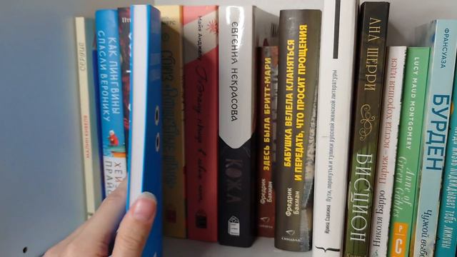 мои книжные полки 2024 📚 200+ книг