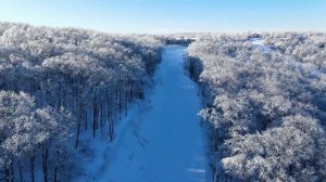 Зима приходит. Зимний лес с высоты. Смена времени года. Flying over the winter forest