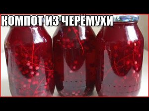 Компот из черемухи на зиму. Очень полезный! Как сделать компот из черемухи?