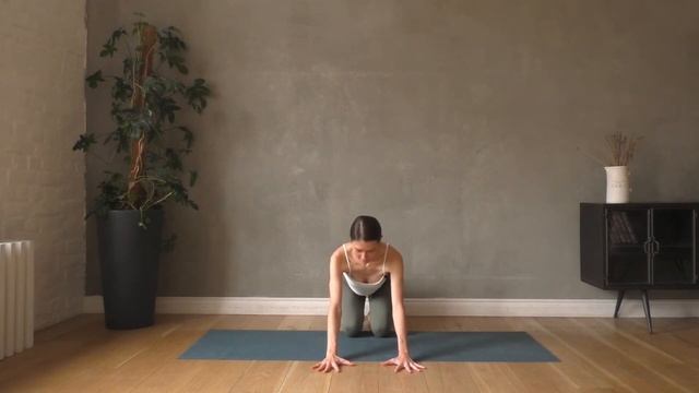 собака мордой вниз. как правильно делать? техника выполнения. подробный разбор. смотреть онлайн