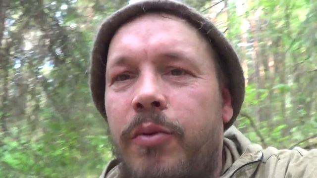 2018 Иван-чай "Русский Север"с таволгой, прессованный в таблетки квадратные 30 х 30 мм смотреть онлайн