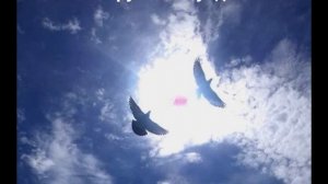 Группа "Раунд" - Где-то в небесах