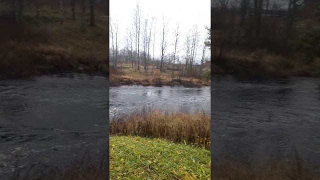 Осеняя Карелия, течение реки Олонка.