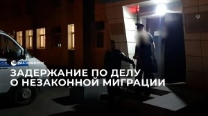 Задержание по делу о незаконной миграции