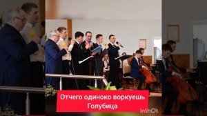 Отчего одиноко воркуешь. (Голубица Моя, Голубица)