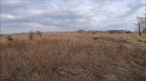 Духовые манки и махокрыл решают)))Охота на селезня кряквы 2021.Супер чехол для ружья!