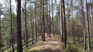 Карельский перешеек. Поход к озеру Плетнёвое