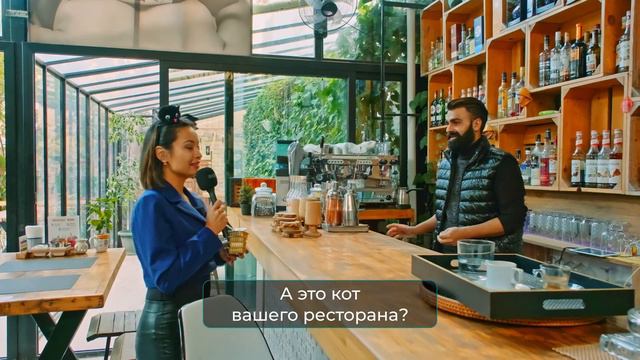 ОСТРОВ КОШЕК | СЕВЕРНЫЙ КИПР | САМЫЙ МИЛЫЙ ОБЗОР | без КОТА и ЖИЗНЬ не ТА | #северныйкипр
