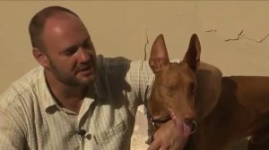 Планета Собак 14 Выпуск - Фараонова собака (Мальта) / 2013