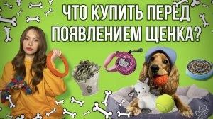 Что нужно купить перед появлением щенка? На основе книги "Гладь. Люби. Хвали".