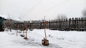 Очень много птицы!! Ловля щеглов, чижей, зеленух, чечёток.