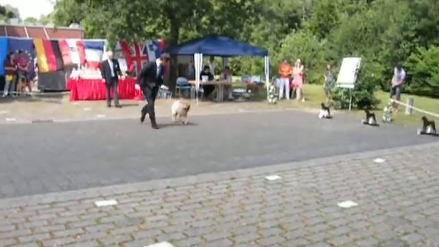 DSCN1977 смотреть онлайн