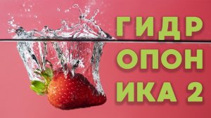 Работы гидропоника растворный узел часть 2