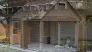 2021 ВОЛЬЕРЫ ДЛЯ СОБАК