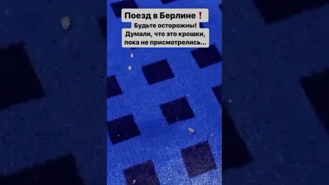 Германията на Шолц. Влак в Берлин с дървеници по седалките ... 🤮