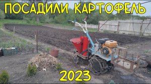 Посадили картошку под мотоблок в 2023 году