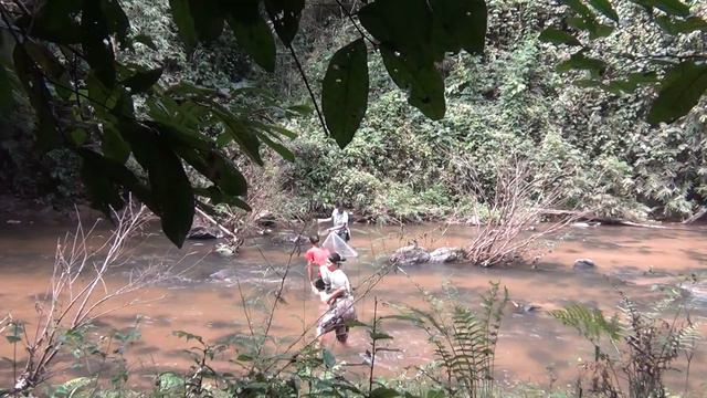 Северный Таиланд 2013 Деревенские рыбачки смотреть онлайн