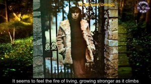 I'm Falling - Al Stewart |Lyrics| HD