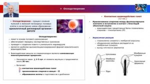 Медицинская эмбриология - лекция №1 (часть 1). Эмбриональное развитие человека