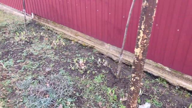 Пришла весна/Весна на Заречной/Даже они зацветают/