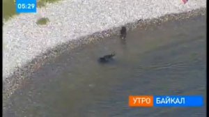 Доброе утро, Россия! (Россия, 25.07.2007)