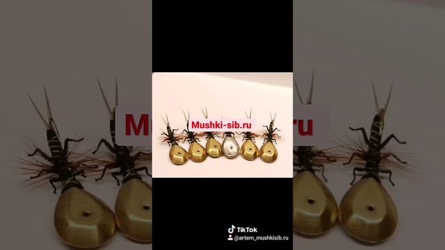 Mushki-sib.ru