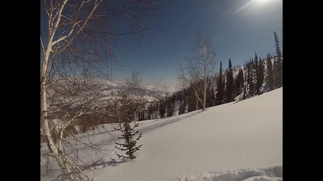 Нашли медведя после спячки ! Снегоходы Ski-doo Summit ! Покатушки весной на снегоходе! смотреть онлайн