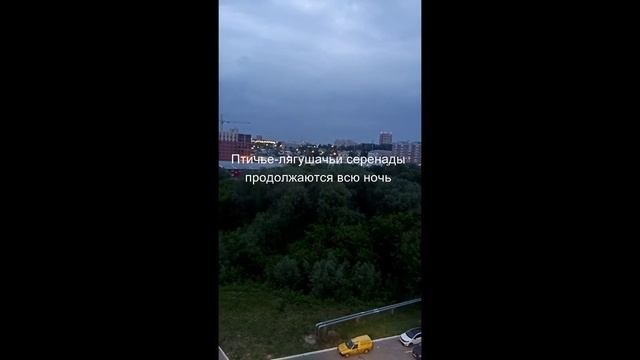 Ночные серенады или о чём поёт ночная птица и лягушка