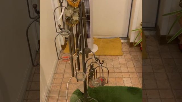 Какие средства Фен Шуй помогут активировать Запад для удачи? смотреть онлайн