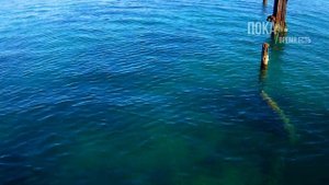 Сарган на спиннинг в Крыму, на каждом забросе! 12 октября, Евпатория.