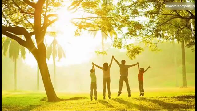 Как очистить сосуды и сердце!? Здоровье, Правильное питание. смотреть онлайн