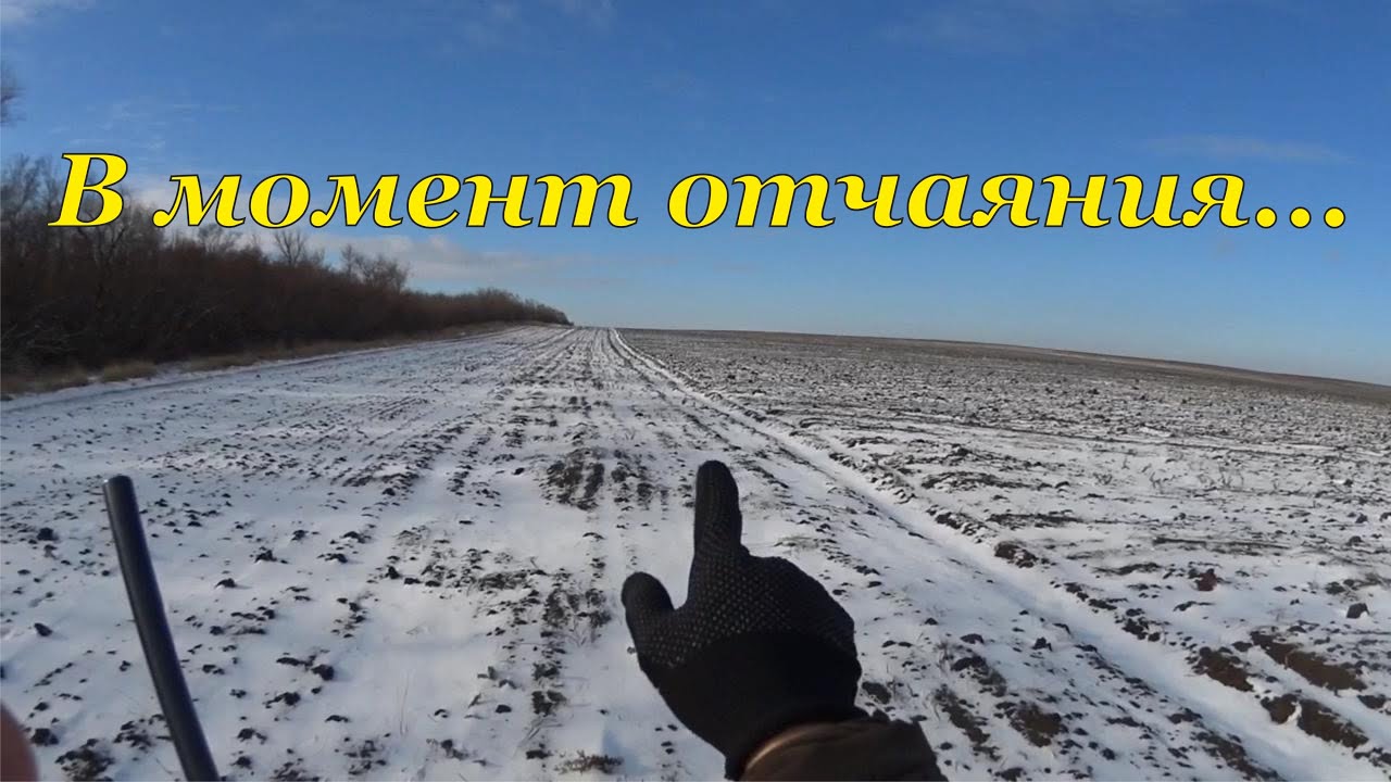 Охота на зайцев - В момент отчаяния...