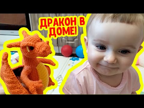 Дракон в доме! К нам прилетел дракоша Чаризард!
