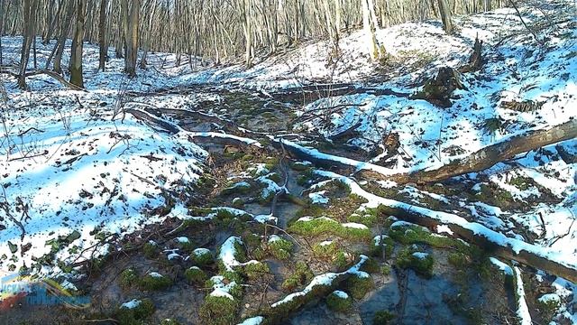 Вишневая балка Русский лес смотреть онлайн