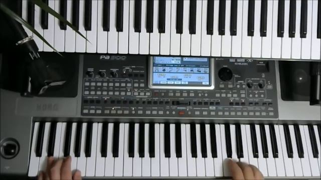 Igor Korg lgk - Импровизация на известную мелодию - 5 . KORG PA900 _ Igor Korg