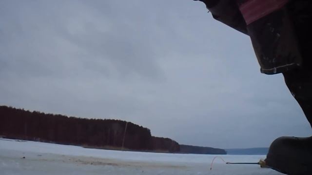 Окунь и плотва, хотя искал ЛЕЩа смотреть онлайн