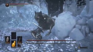 DARK SOULS™ III хранитель чемпиона могилы