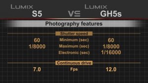 Panasonic Lumix S5 vs Panasonic Lumix GH5s