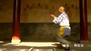 Старый шаолиньский (少林)  стиль  хун цюань (洪拳).