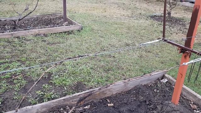 Открытие виноградника и установка его на шпалере. смотреть онлайн