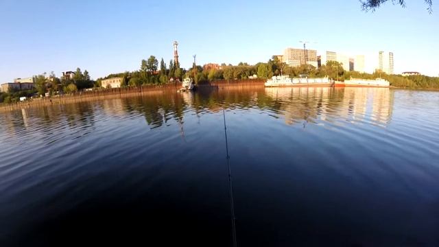 Ловля окуней. Джиг в черте г. Омска. Начало сентября. смотреть онлайн